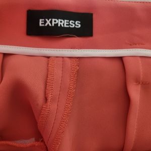 Express High Waisted Dress Pants